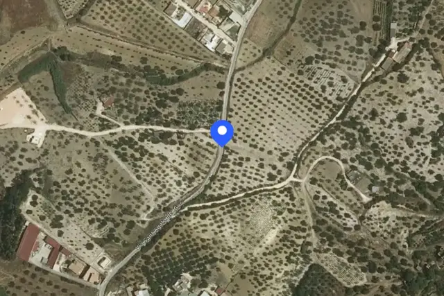 insertion image