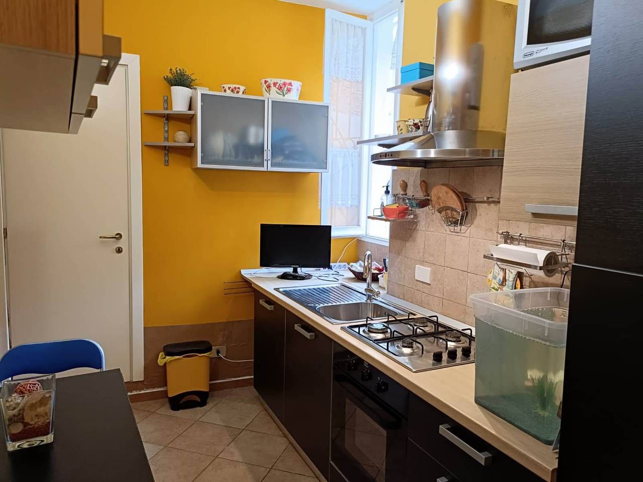 immagine annuncio 12 di 15