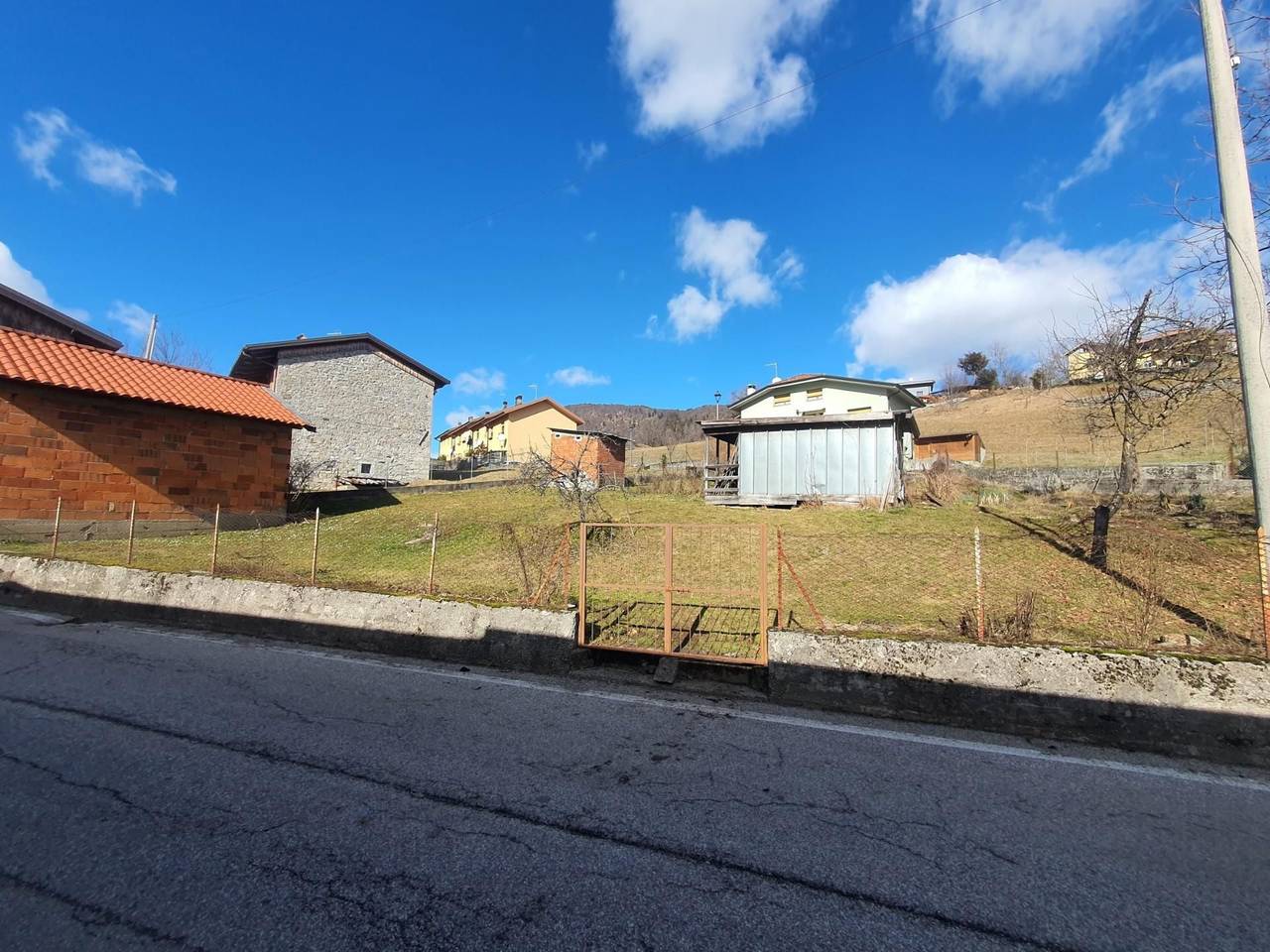 immagine annuncio 12 di 14