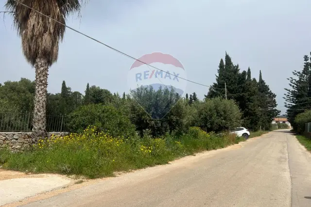 insertion image