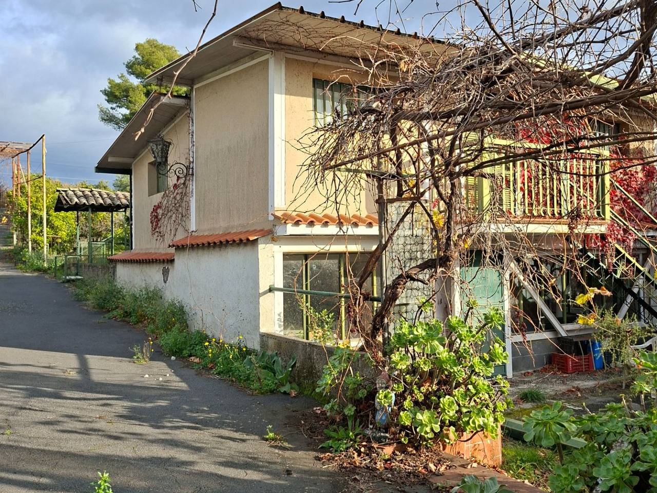 immagine annuncio 10 di 11