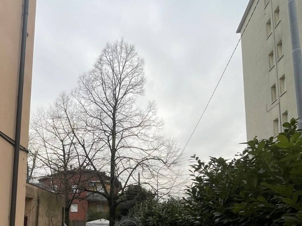 immagine annuncio 13 di 14