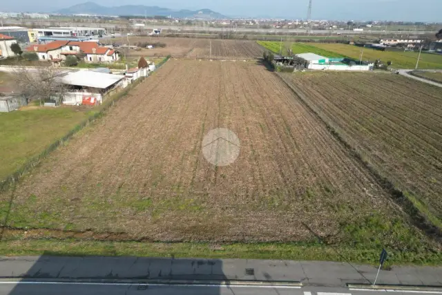 insertion image
