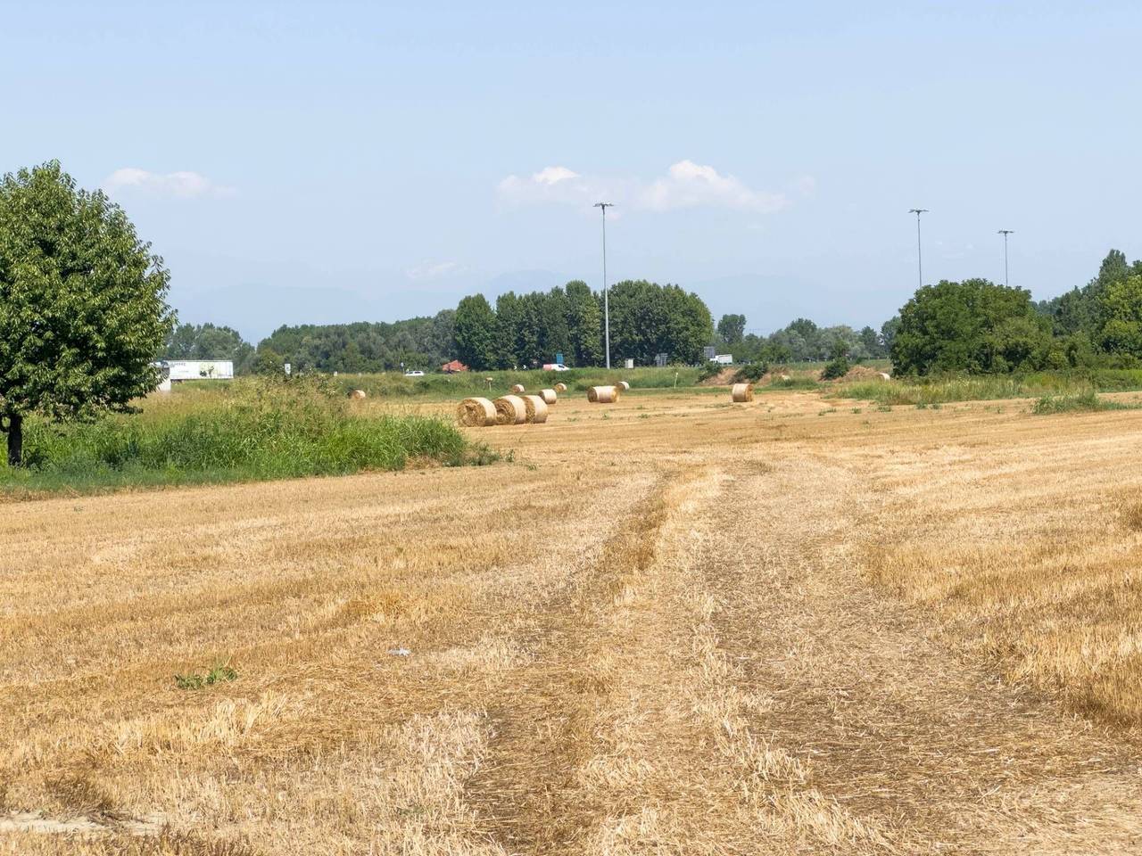 immagine annuncio 11 di 15