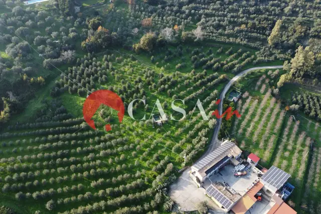 insertion image