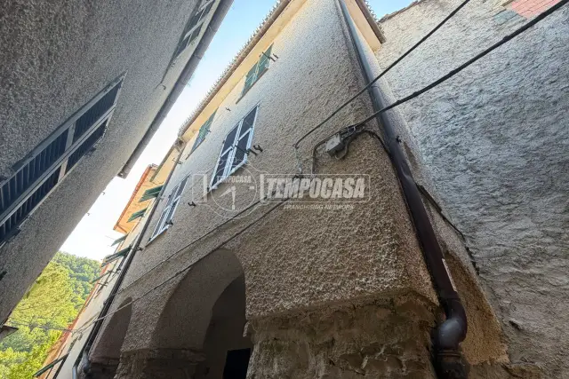 insertion image