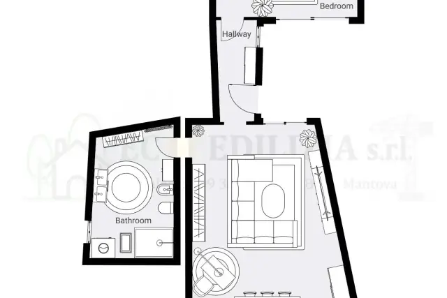 insertion image