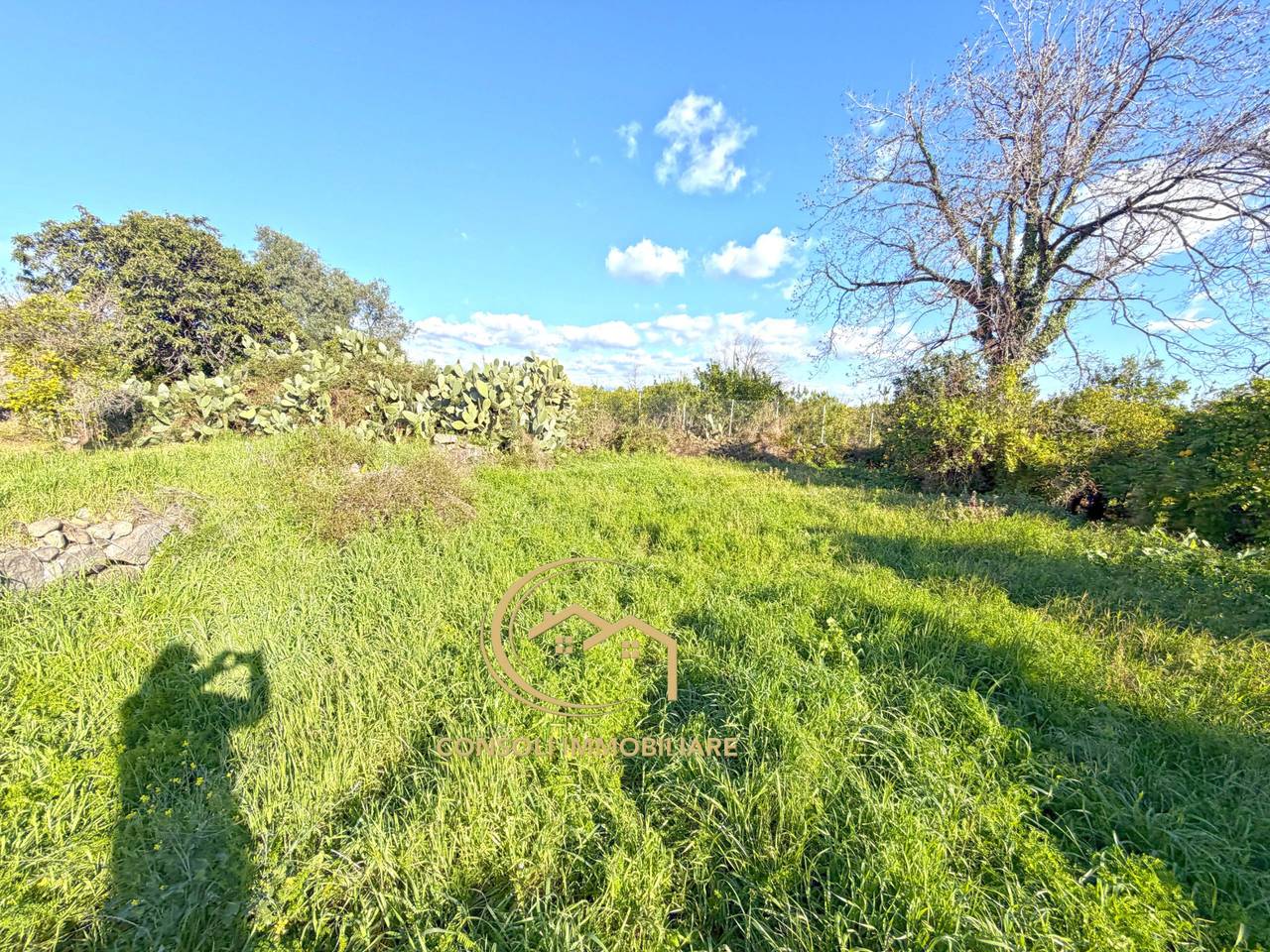 immagine annuncio 3 di 7