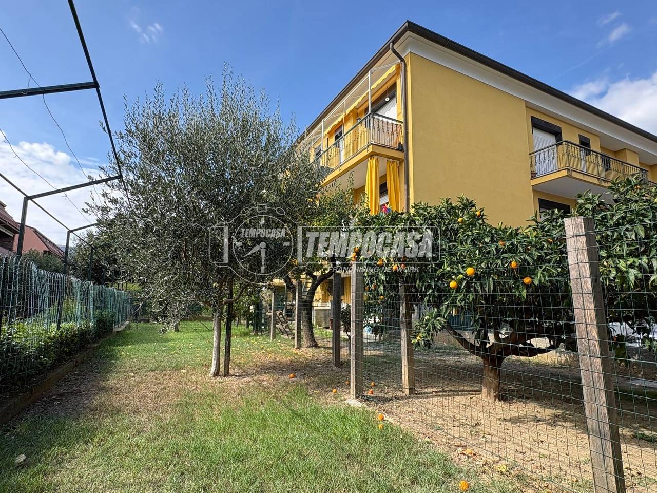 immagine annuncio 10 di 15