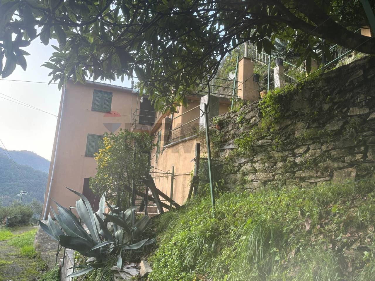 immagine annuncio 8 di 13
