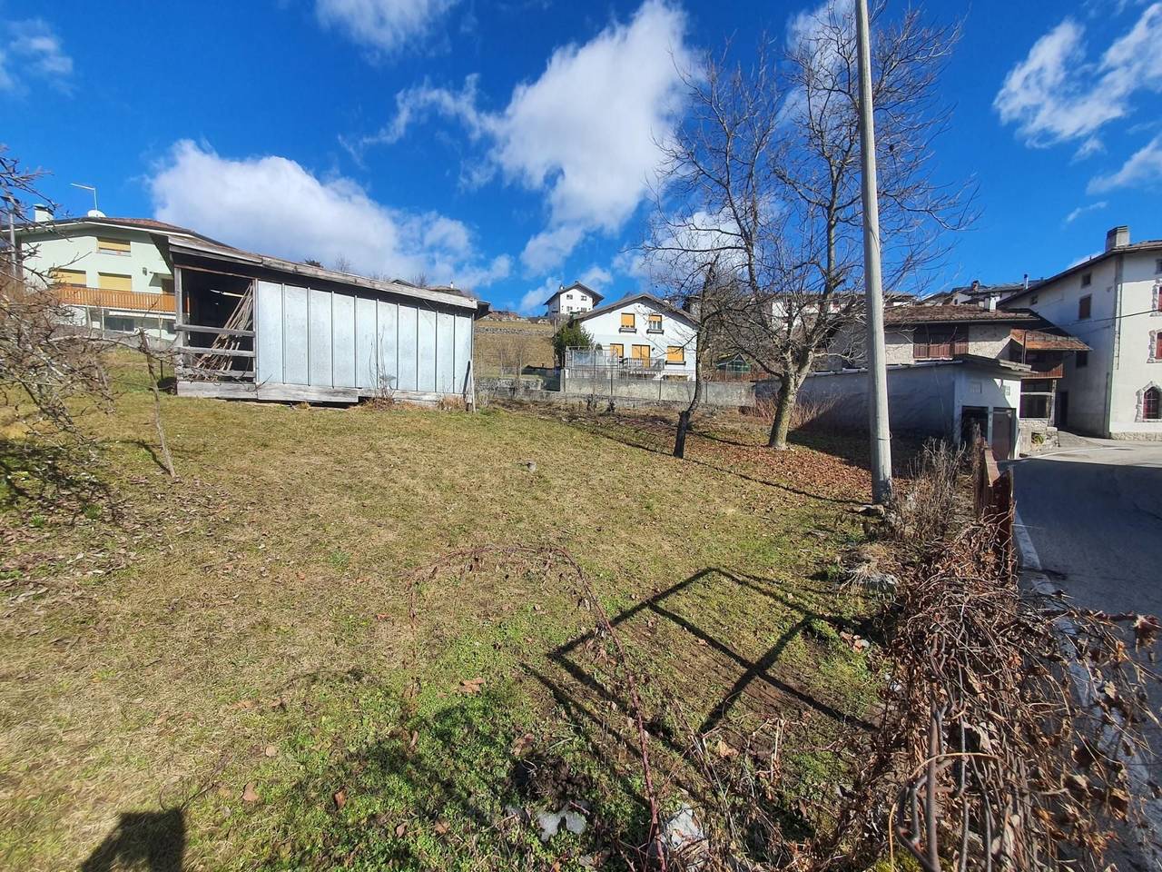 immagine annuncio 11 di 14