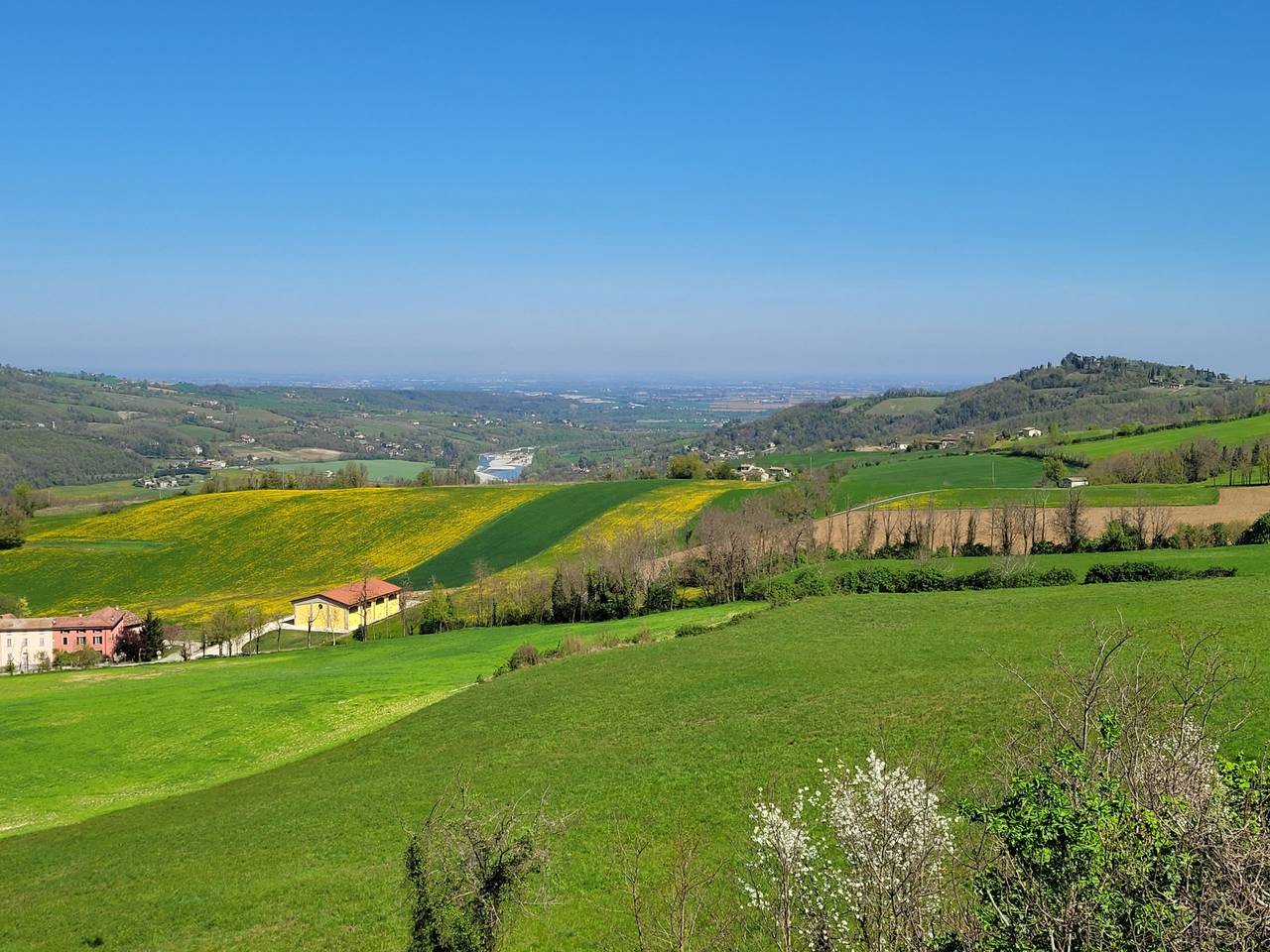 immagine annuncio 5 di 12