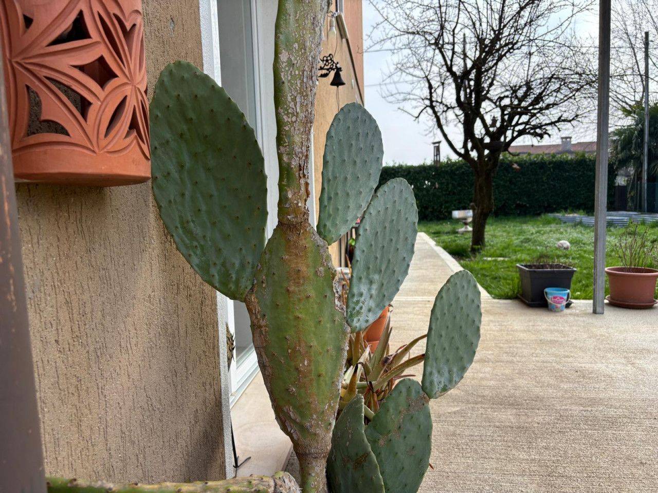 immagine annuncio 6 di 12