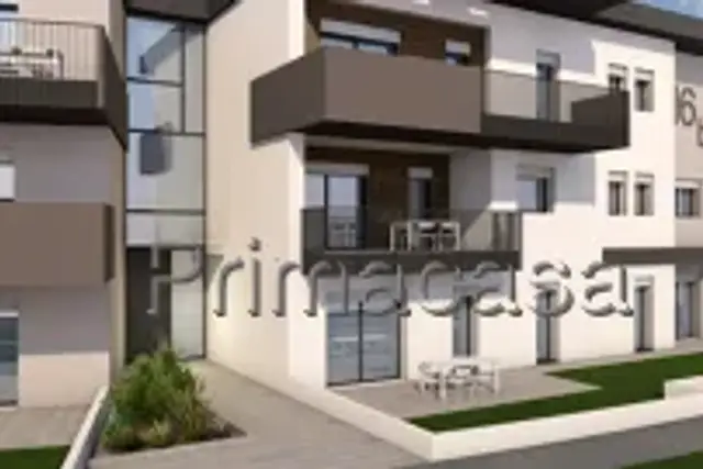 insertion image