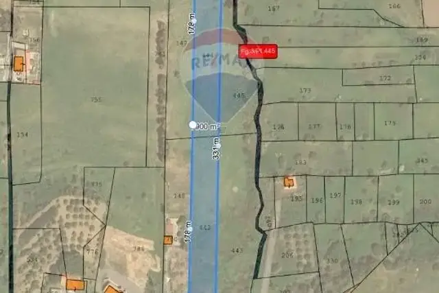 insertion image