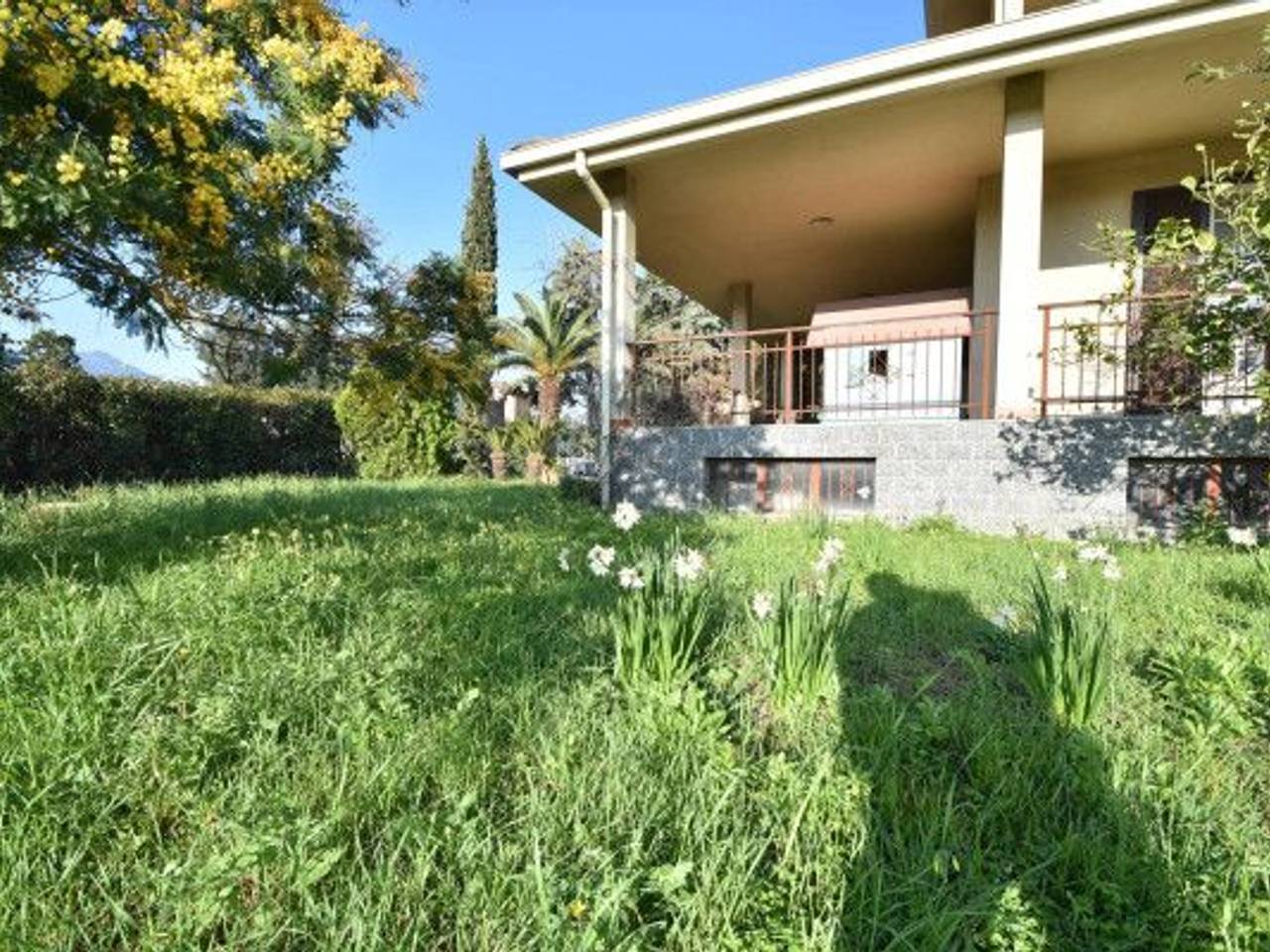 immagine annuncio 8 di 13