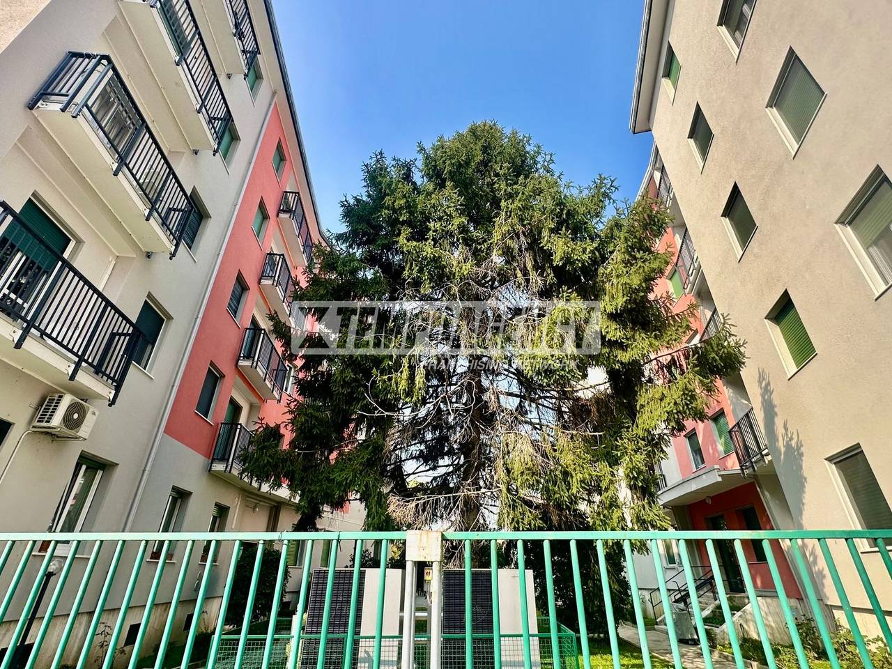 immagine annuncio 8 di 12