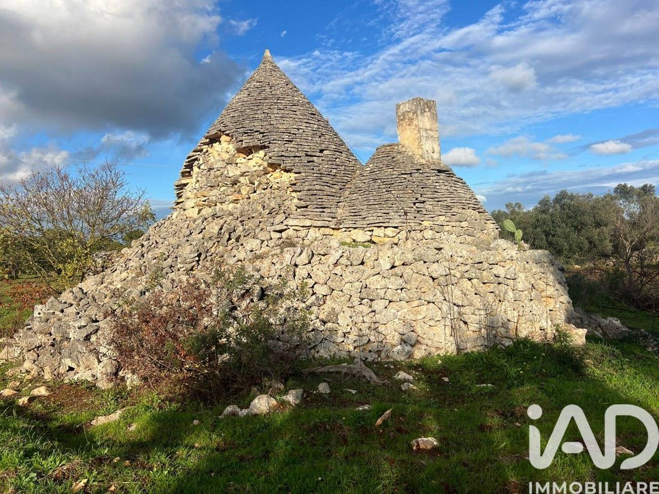 immagine annuncio 6 di 10