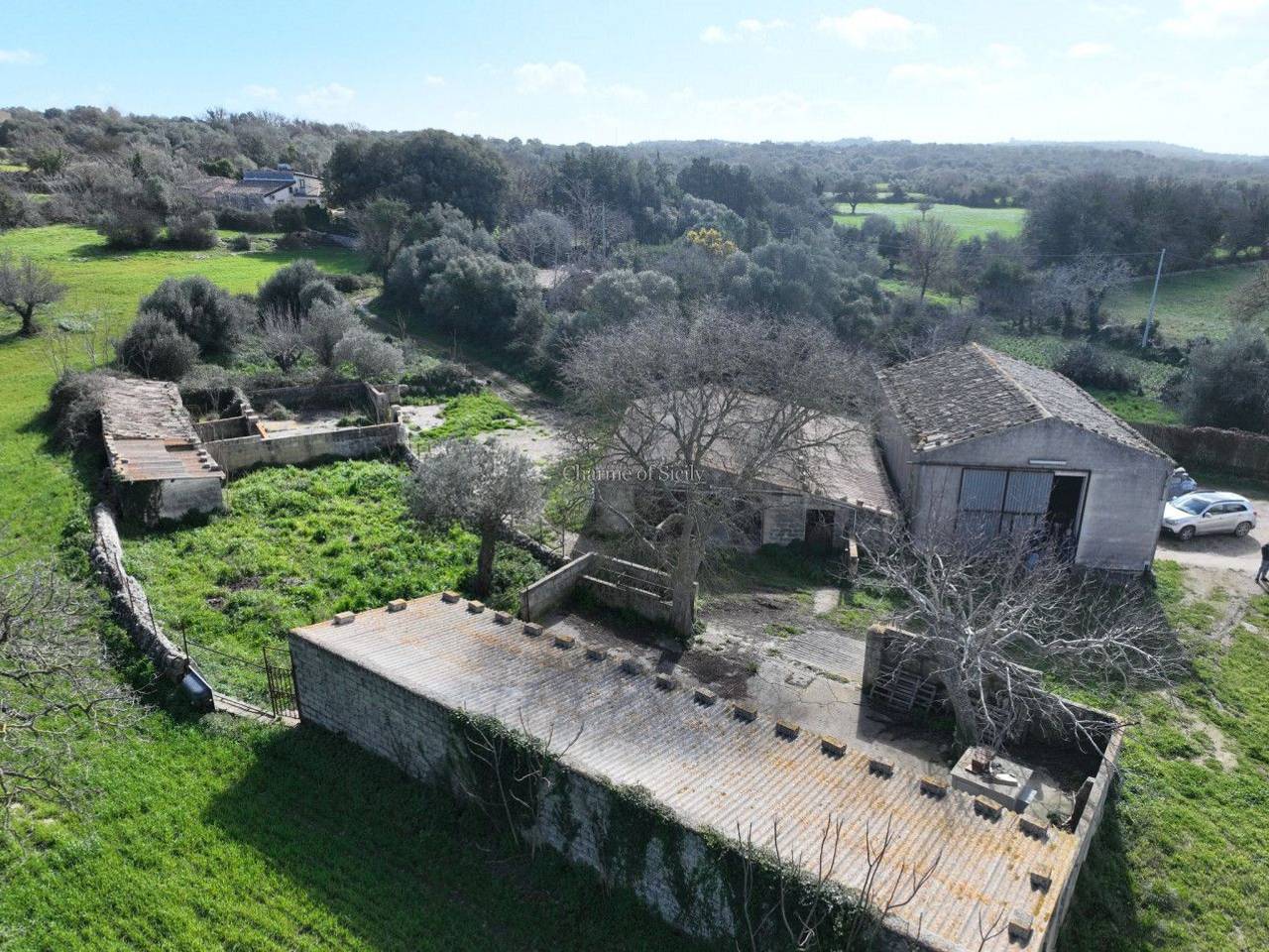 immagine annuncio 12 di 15