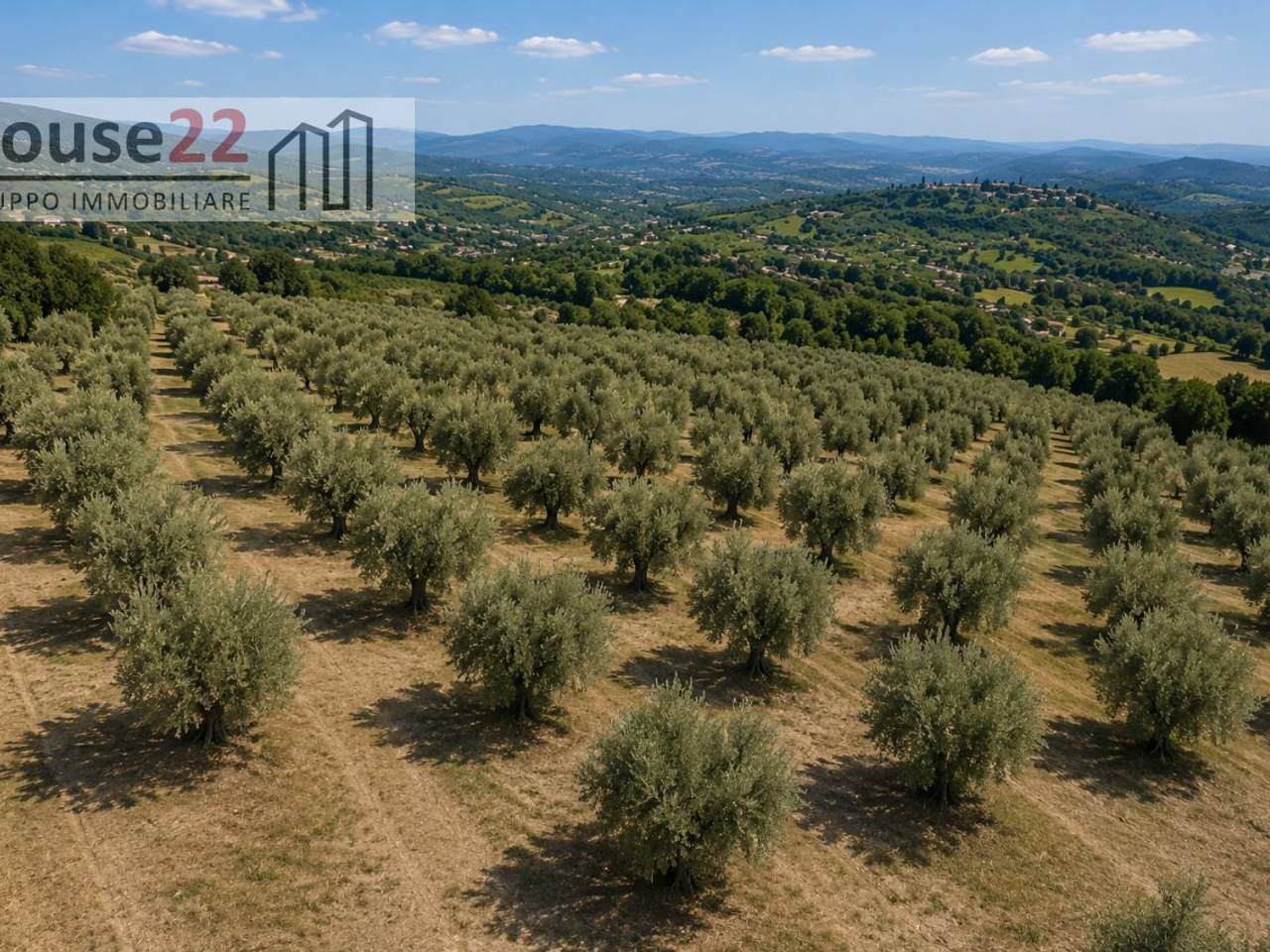 immagine annuncio 3 di 8