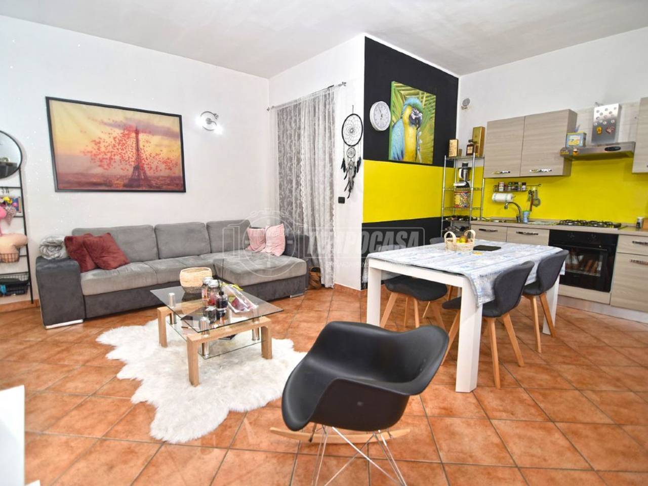 immagine annuncio 3 di 15