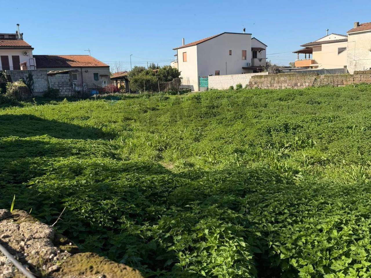 immagine annuncio 9 di 13