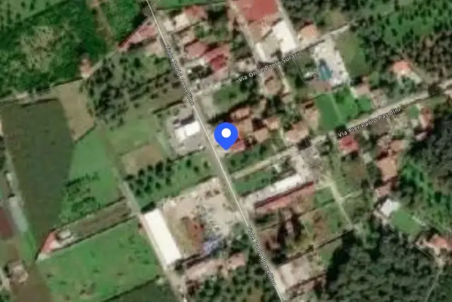 insertion image