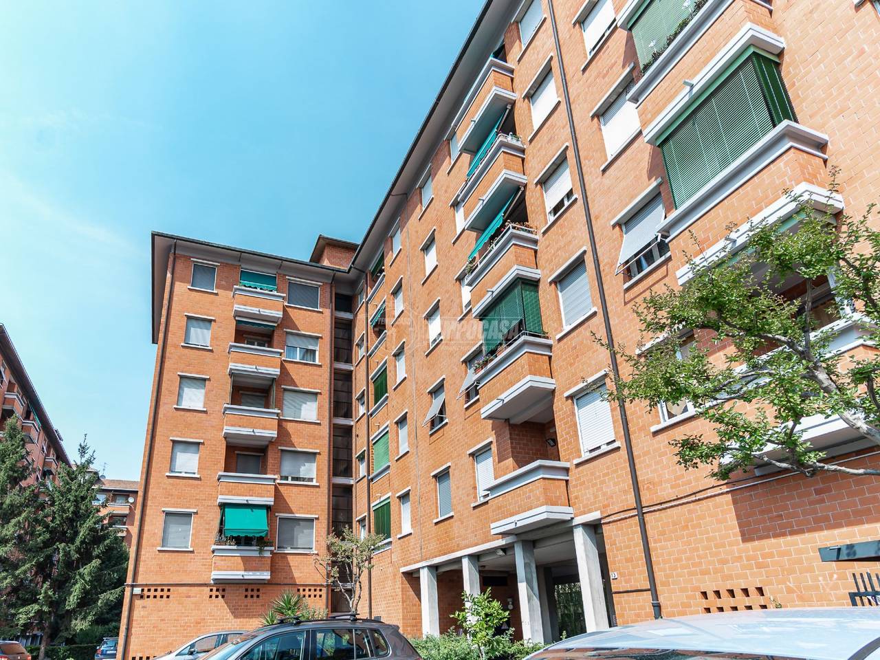 immagine annuncio 12 di 14