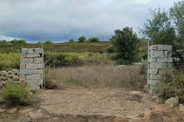 Terreno agricolo in Località Micaloni, Telti - Foto 1