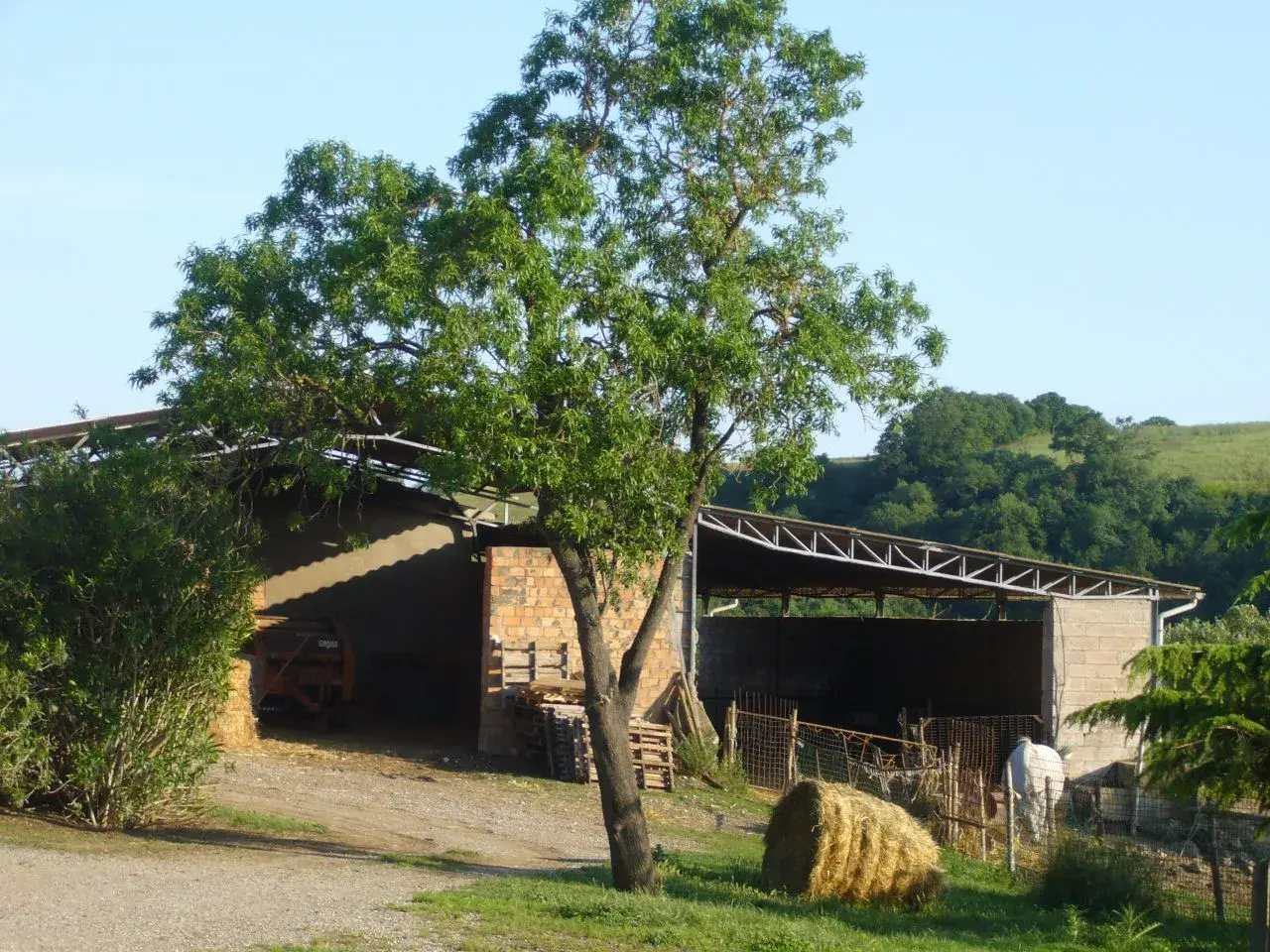 Azienda agricola in Poggio Galletto, Campagnatico, {3} - Foto 2