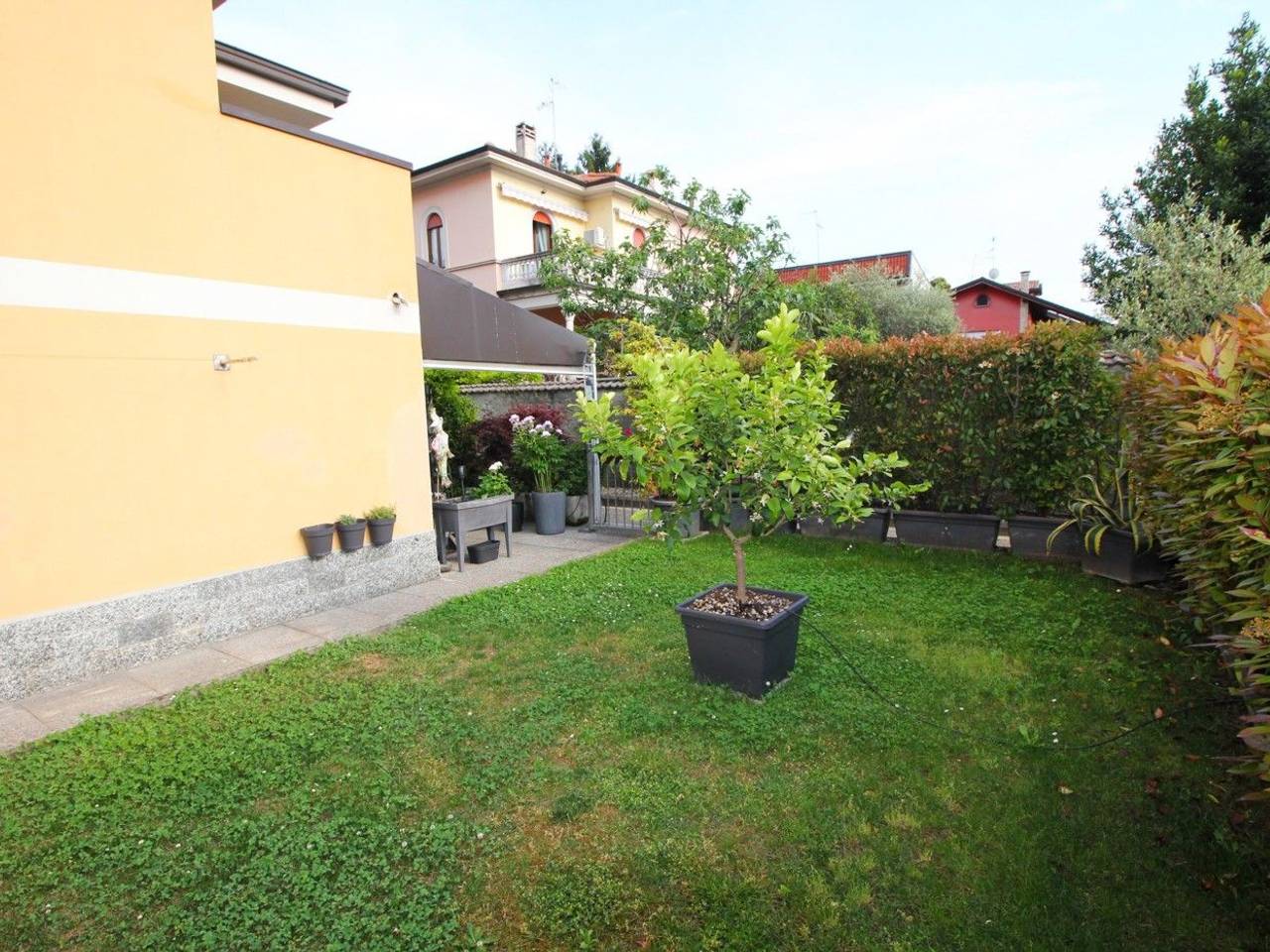 immagine annuncio 5 di 15