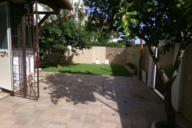 insertion image
