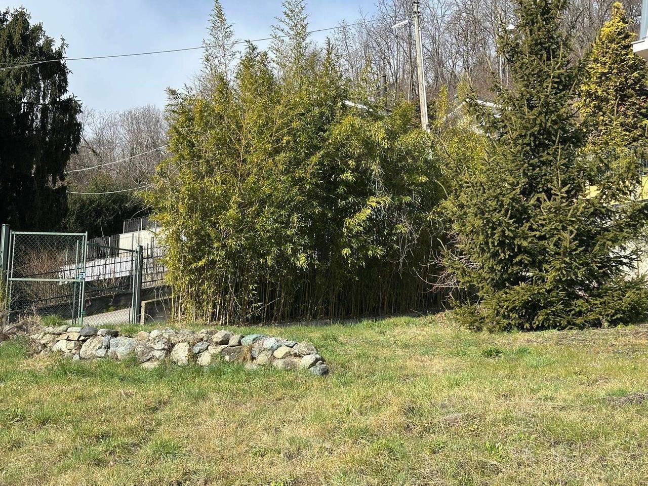 immagine annuncio 4 di 11