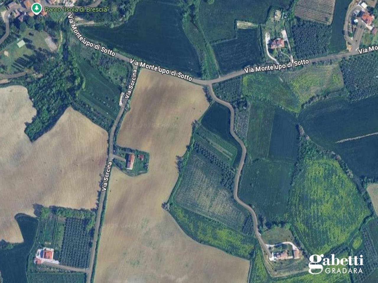 immagine annuncio 13 di 14