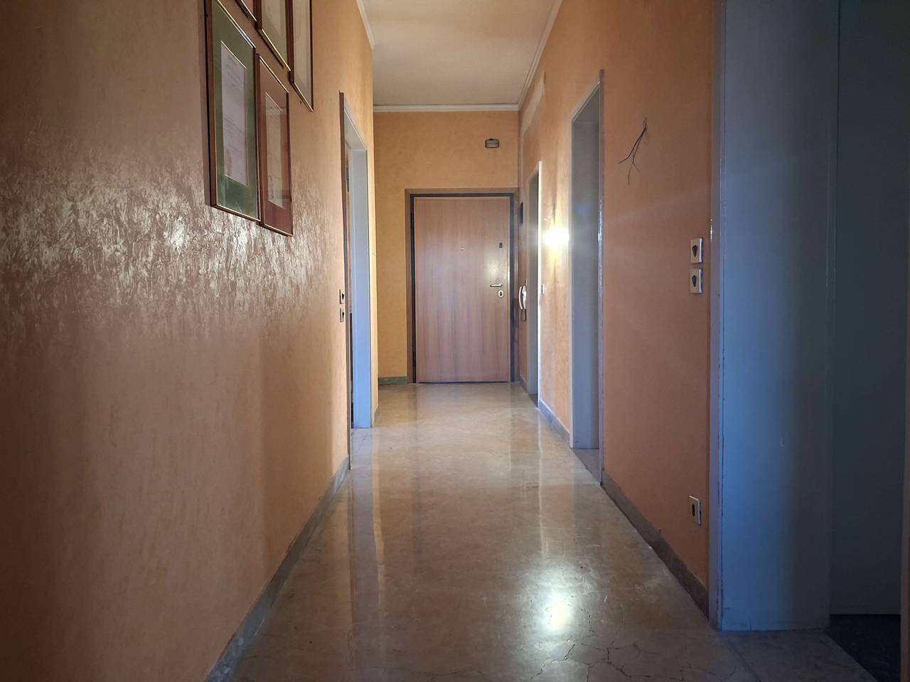 immagine annuncio 5 di 12