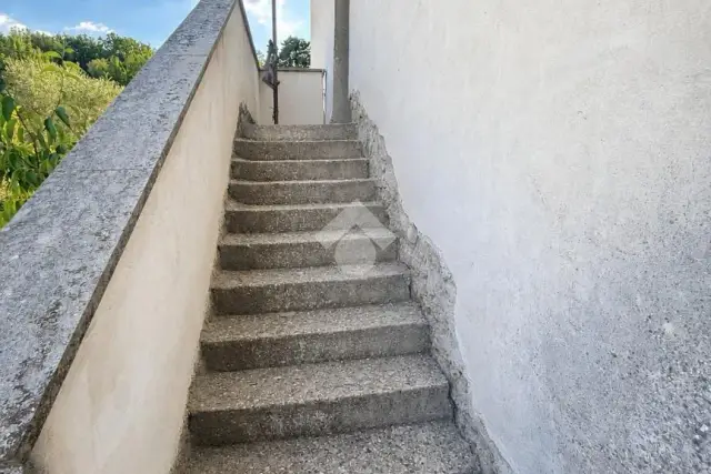 insertion image