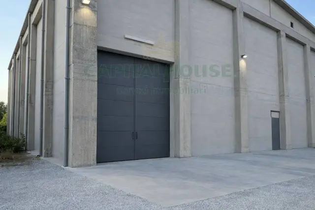 insertion image