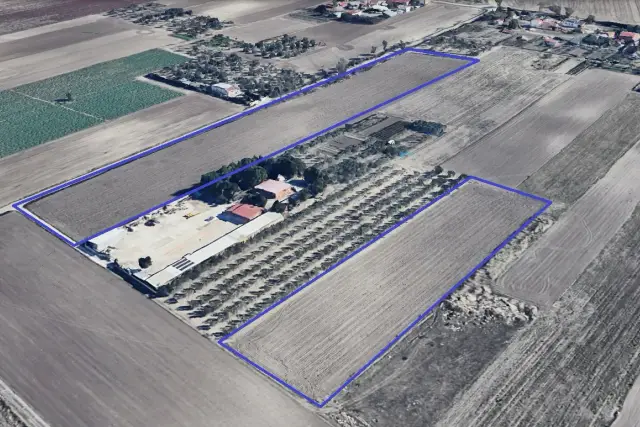 insertion image