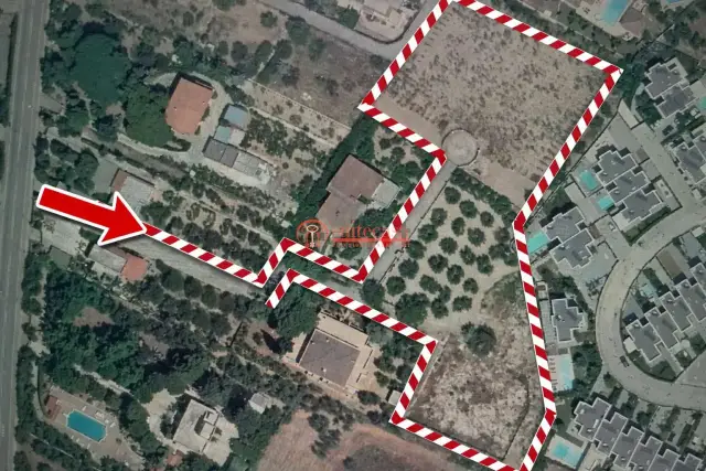 insertion image