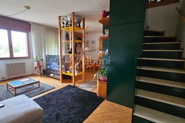 insertion image