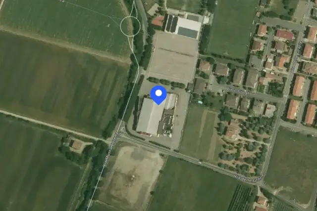 insertion image