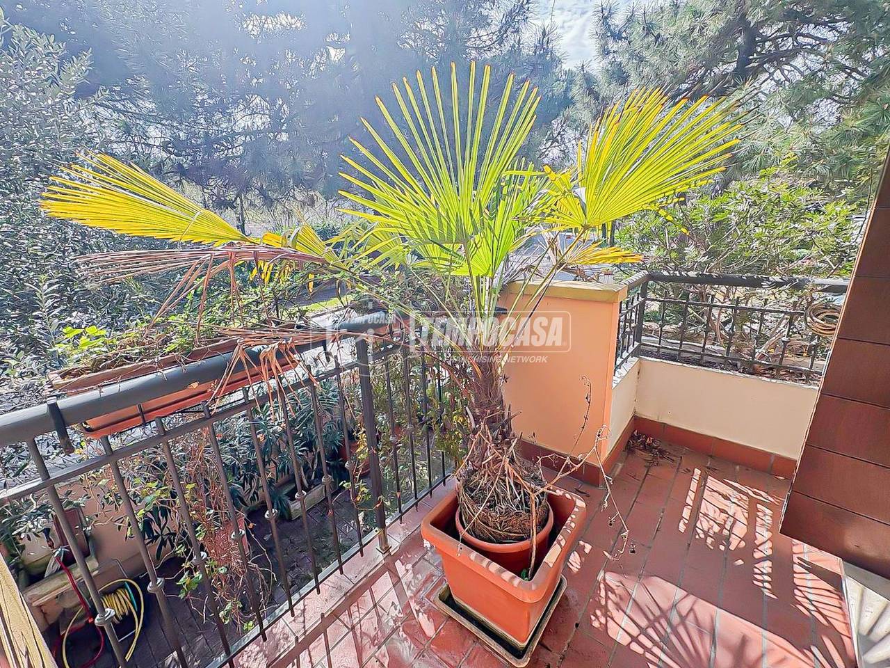 immagine annuncio 6 di 12