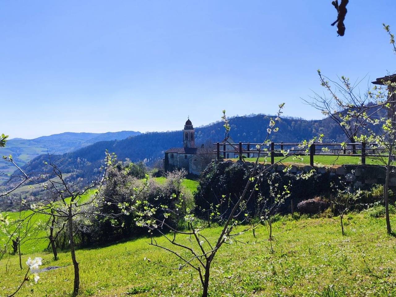 immagine annuncio 2 di 12