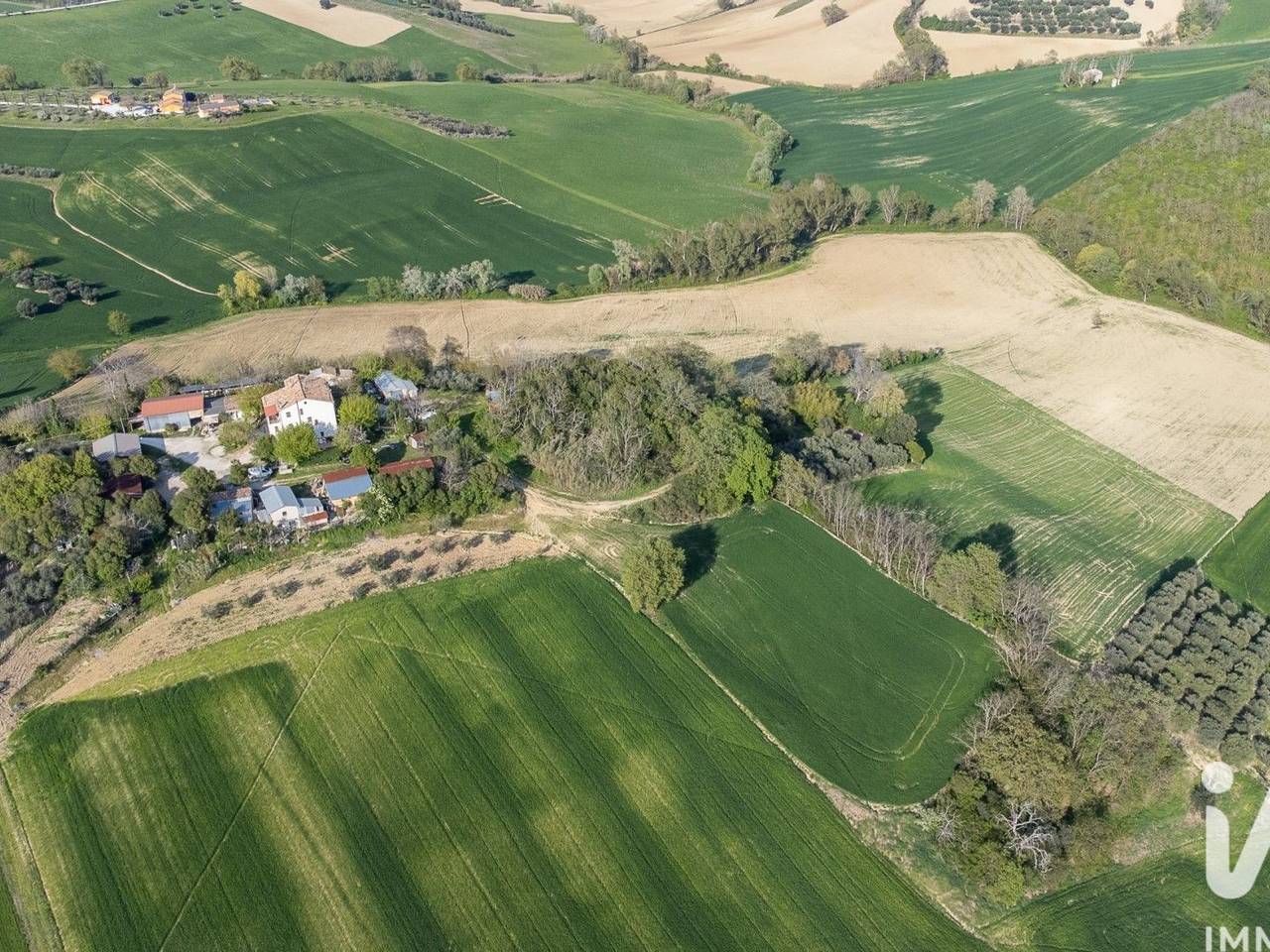 immagine annuncio 4 di 14