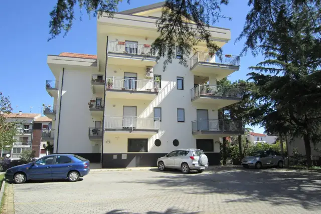 insertion image