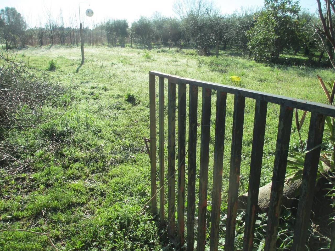 immagine annuncio 6 di 7