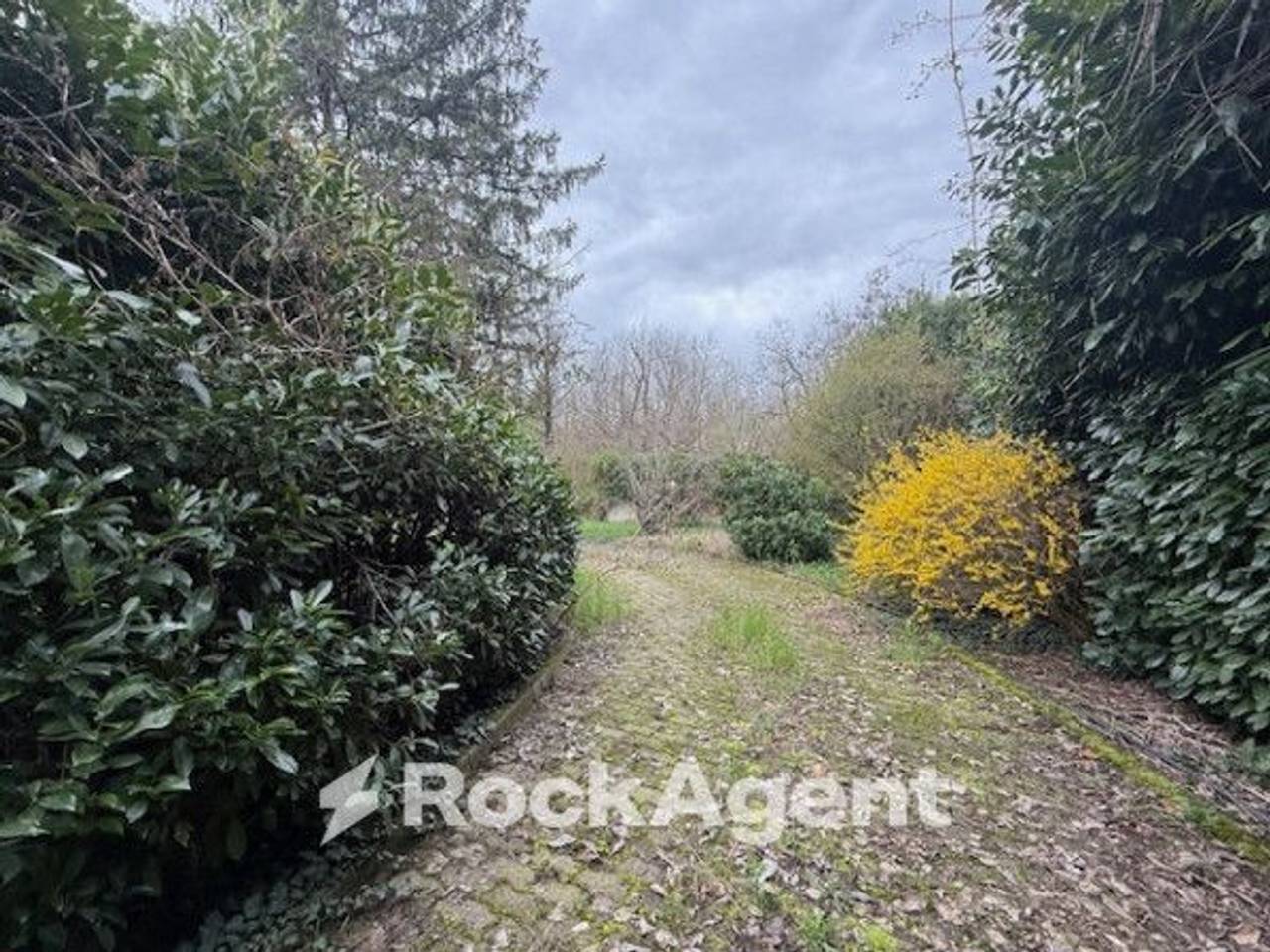 immagine annuncio 5 di 15