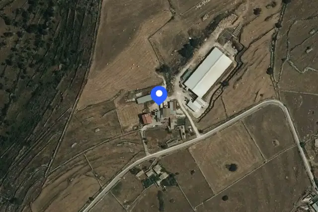 insertion image