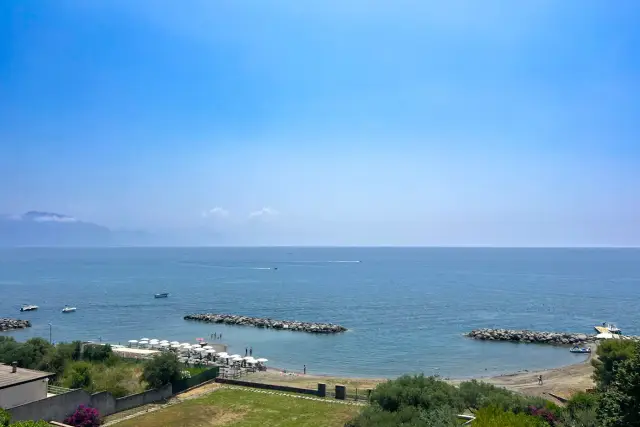 insertion image