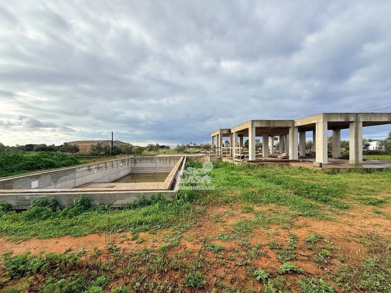 immagine annuncio 3 di 12